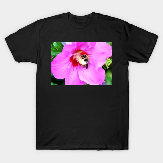 Bumble Bee Pollinating Pink Flower T-Shirt by 1Redbublppasswo